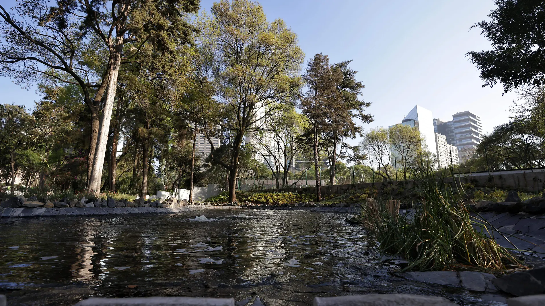 Bosque de Chapultepec: Conoce el tour que recorre los 12 parques de este sitio